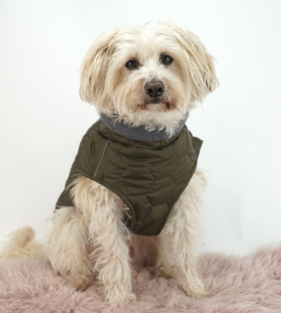 Hundemantel Luxus Khaki