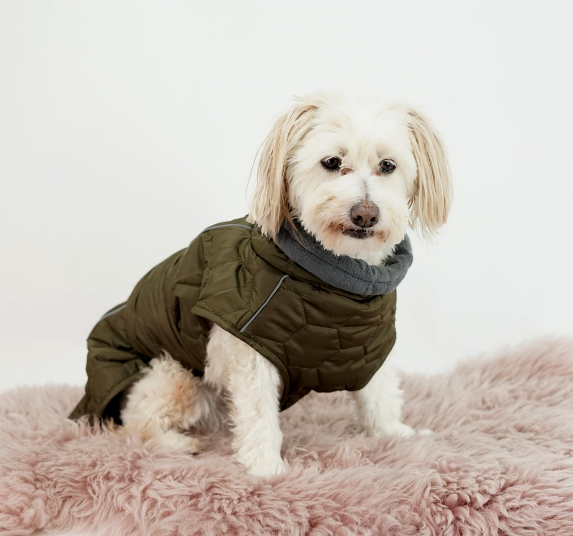 Hundemantel Luxus Khaki