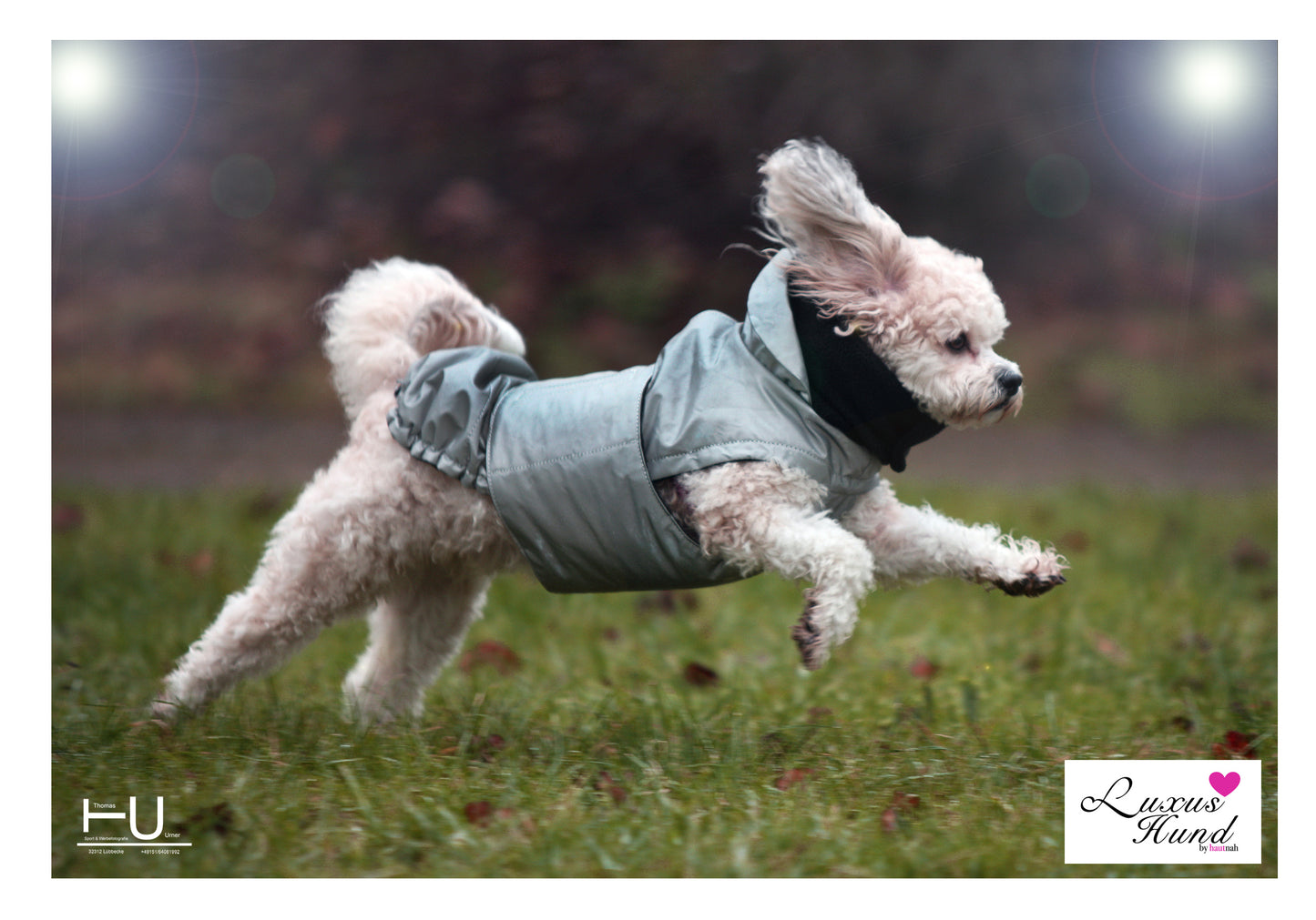 Hundemantel Safety mit Reflektion