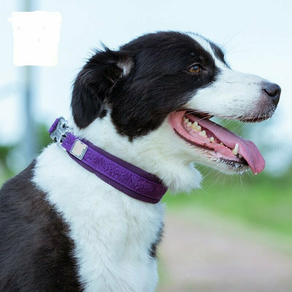 Halsband mit Muster Lila