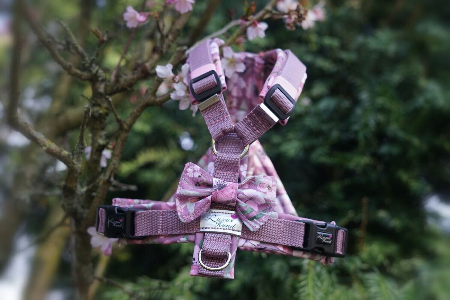 Brustgeschirr Rosalie