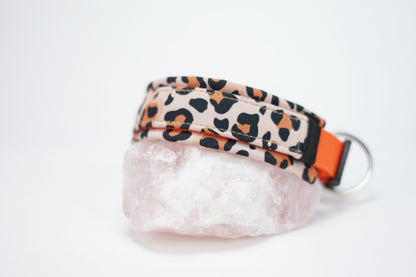 Halsband Leo orange