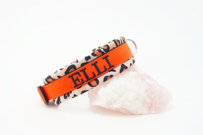 Halsband Leo orange