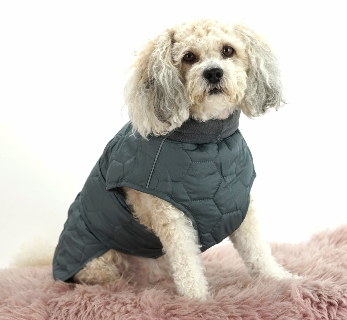 Hundemantel Luxus grau