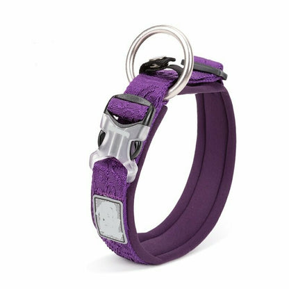Halsband mit Muster Lila