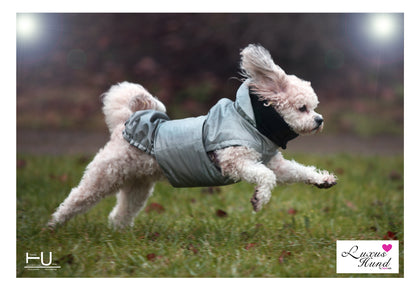 Hundemantel Safety mit Reflektion