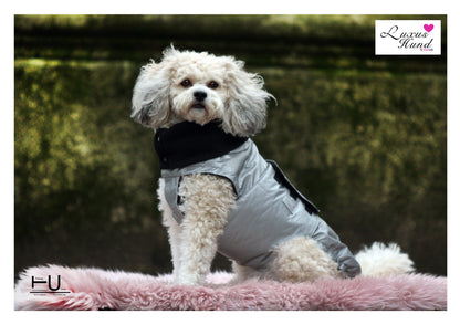 Hundemantel Safety mit Reflektion